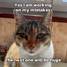 A cat staring at you. Text: 'Yes I am working on my mistakes. The next one will be huge'