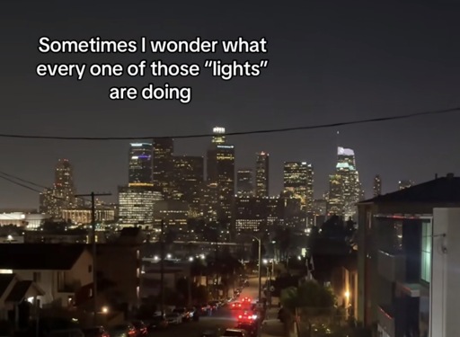 A photo of a city with the caption “Sometimes I wonder what every one of those ‘lights’ are doing”