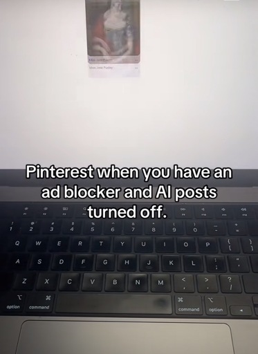 Picture of a computer screen that’s all empty except for one thumbnail with the caption “Pinterest when you have an ad blocker and Al posts
turned off.”