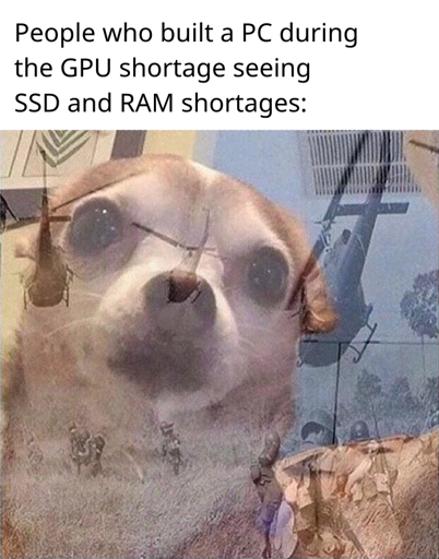 People who built a PC during the GPU shortage seeing SSD and RAM shortages: (picture of a concerned chihuahua layered over a picture from the Vietnam War with multiple helicopters and troops attacking)
